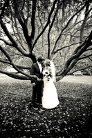 AntonucciWedding-357